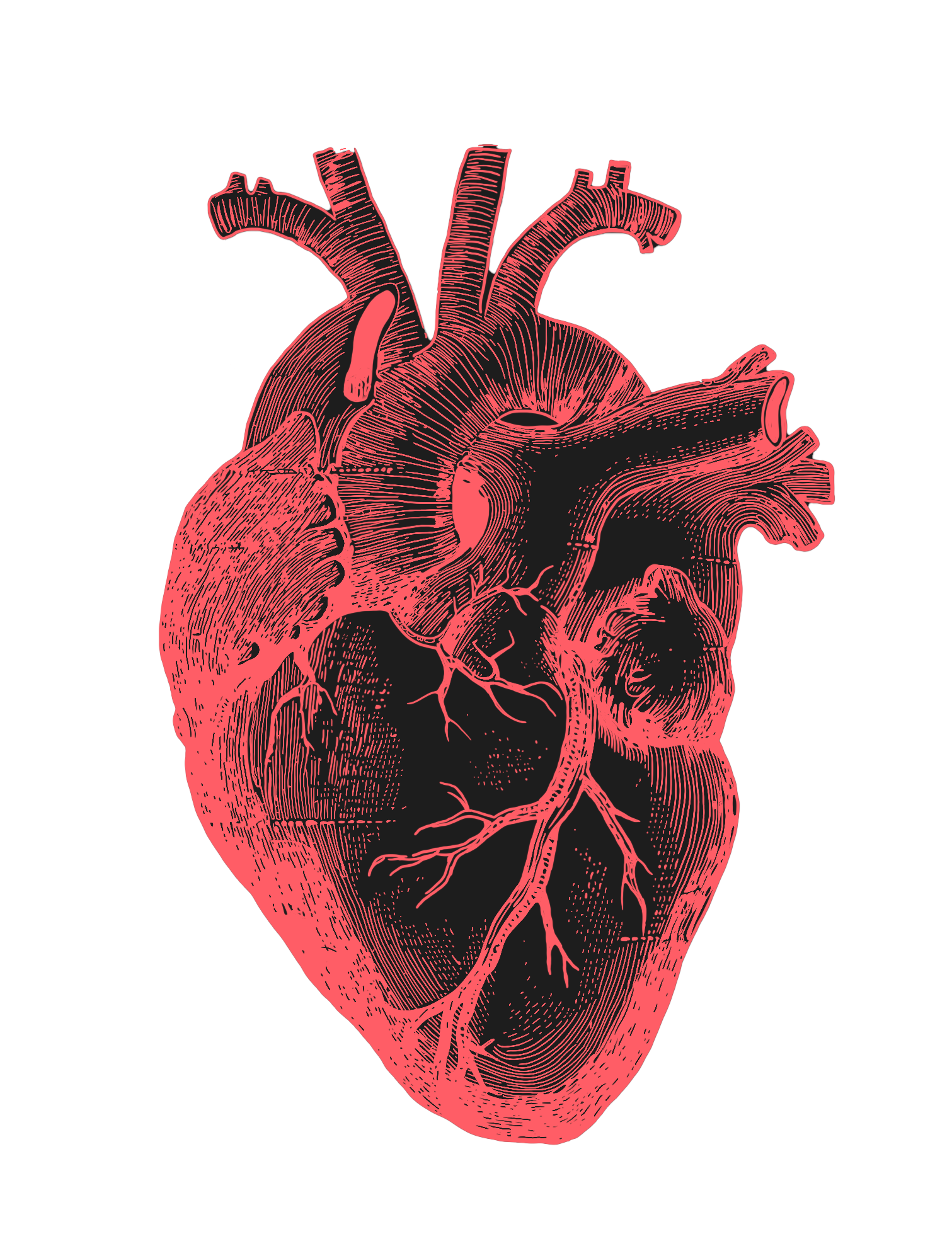 Heart overlay